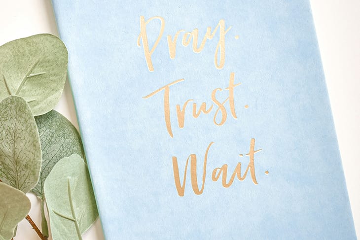 Lichtblauw notitieboek met gouden tekst "Pray. Trust. Wait." op de kaft, naast enkele eucalyptusbladeren op een witte achtergrond.